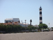DSC01919
